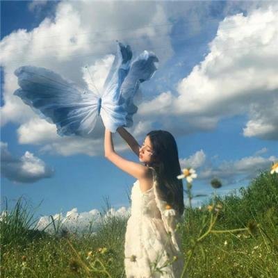 迫降航班